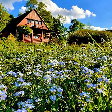 Piaskowy Kon - Mountain Lodge & Spa- Karkonosze Mniszkow  Экстерьер фото